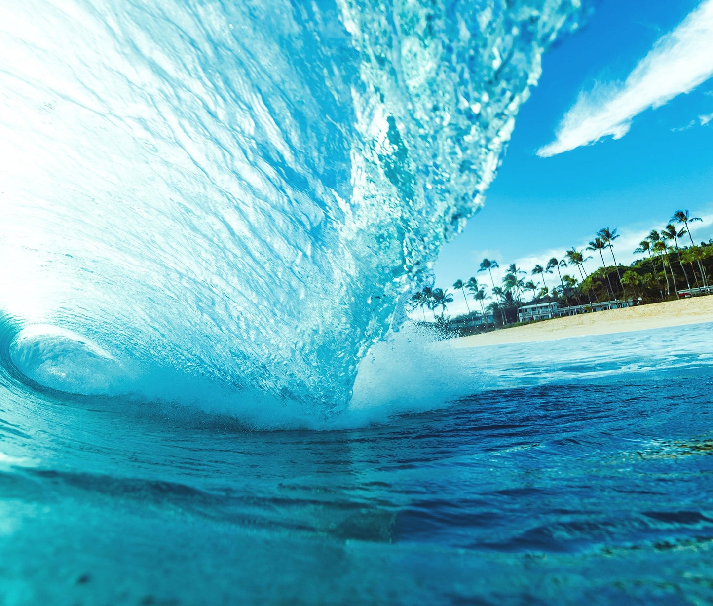 Oceanbound plastic—a concern, a categorization and a confession. - OLIVE+COMET