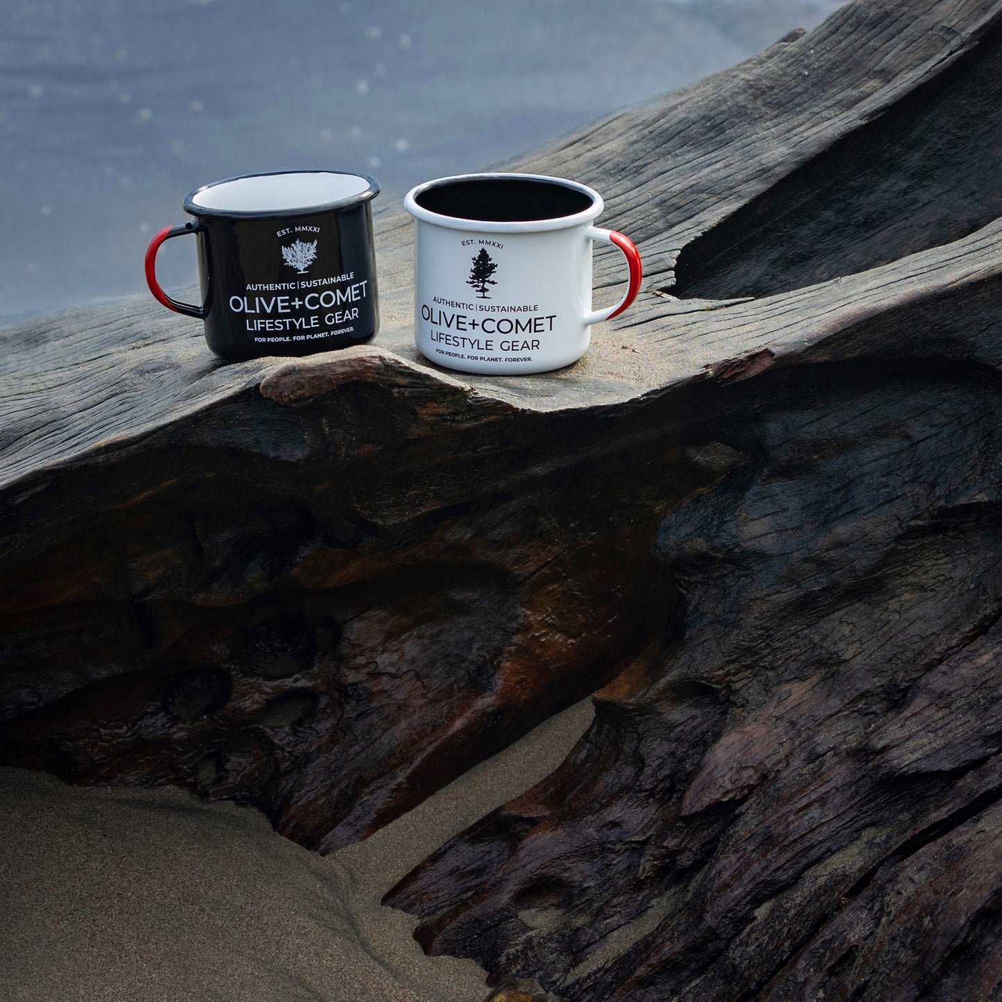 Two mugs sit by the beach in Costa Rica—one black, with a coral motif, and one white, with a shore pine motif.
