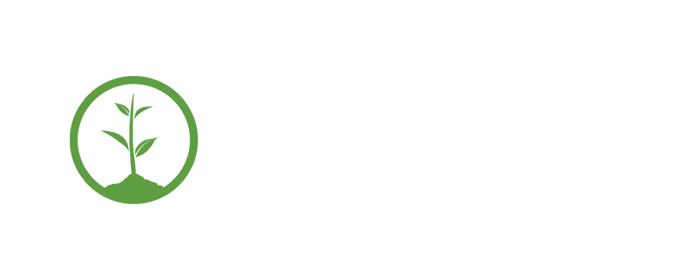 One Tree Planted Business Partner Logo