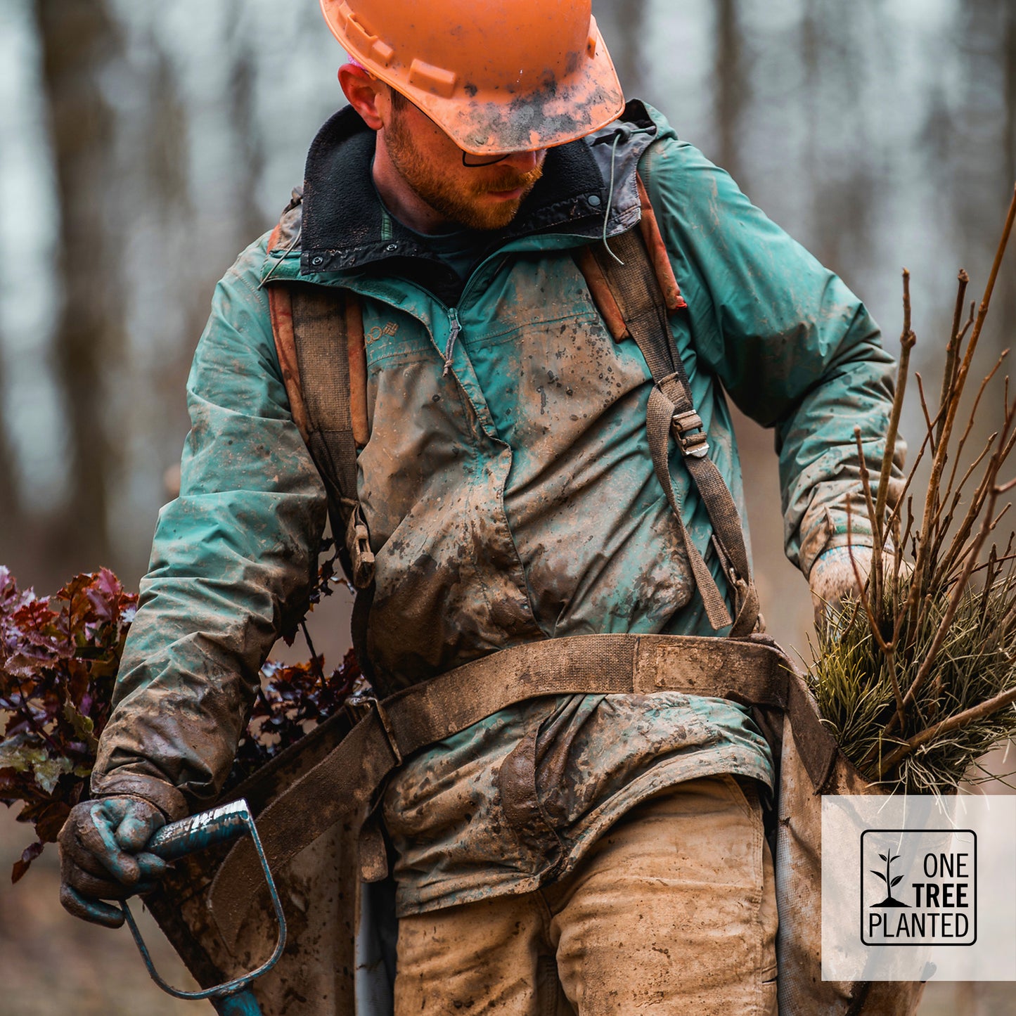 Photo of a man with a shovel and hip bags filled with saplings in the midst of planting trees in a forest