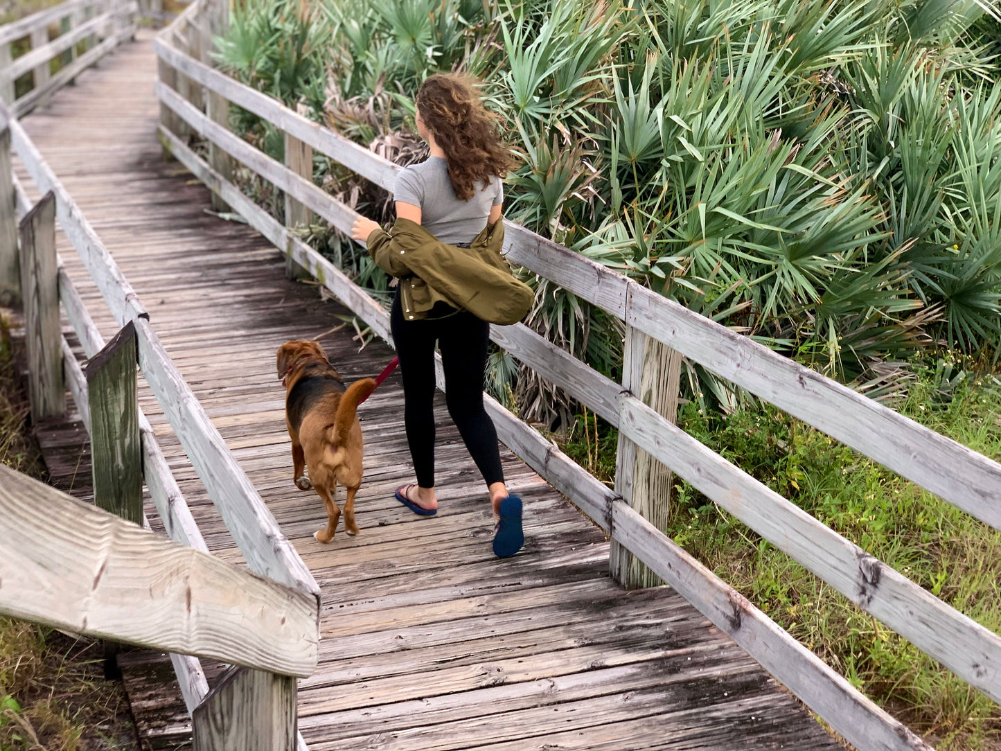 A teenage girl walks her dog along the wooden boardwalk at Jonathan Dickinson State Park in Florida. She is facing away from the camera and wearing flip-flops and a light, olive green windbreaker.